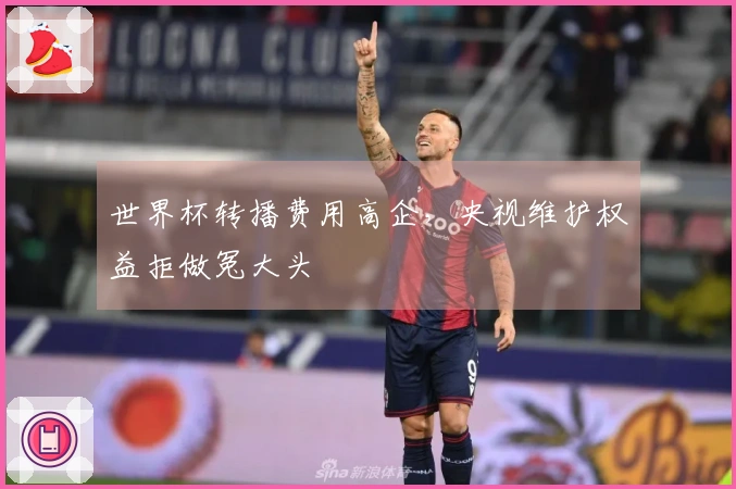 世界杯转播费用高企，央视维护权益拒做冤大头