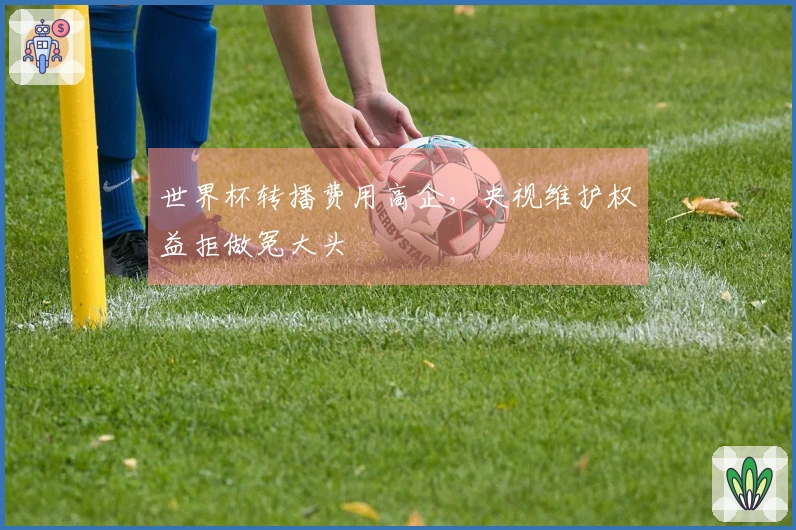 世界杯转播费用高企，央视维护权益拒做冤大头